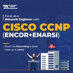 Best CCNP Course with Certification