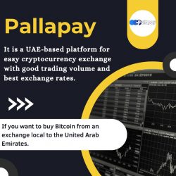 Cryptocurrency exchange in Dubai