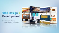 Advantages of hiring a professional web design and development company