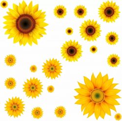 Sunflower Wall Stickers