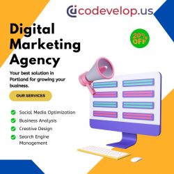 Digital Marketing Agency