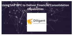 Using SAP BPC to Deliver Financial Consolidation Capabilities