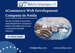 Ecommerce Web Development Company in Noida