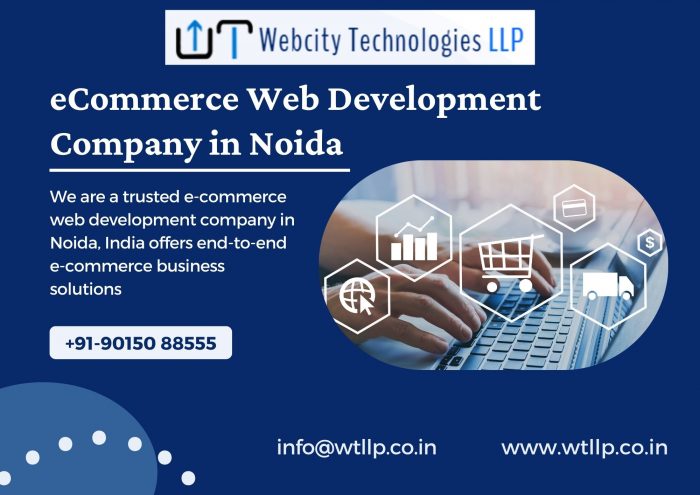 Ecommerce Web Development Company in Noida