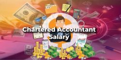 Chartered Accountant Salary In India | DataTrained