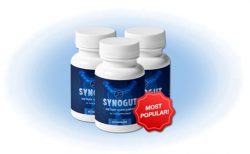 https://synogutprice.blogspot.com/2022/12/synogut.html