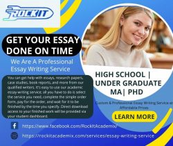 Professional Essay Writing Service