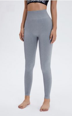 Seamless Leggings