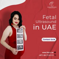 Fetal Ultrasound in UAE