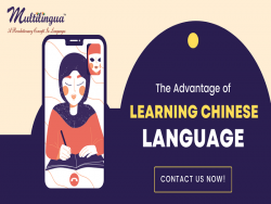 Find the Best Chinese Language Course in Delhi