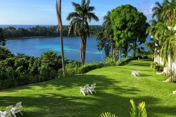 Finding Wellness in the Waters of Jamaica