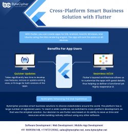 Hire Flutter Developers USA