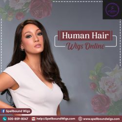 Human Hair Wigs Online