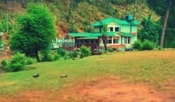 Luxurious Hotel in Dharmshala for Couples & Travelers