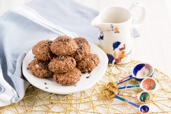 lactation cookies