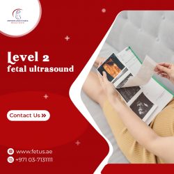 Level 2 Fetal Ultrasound