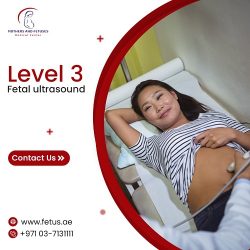 Level 3 Fetal Ultrasound