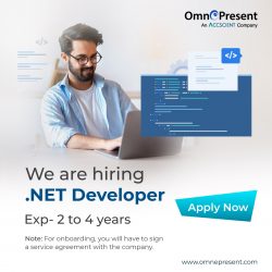 Hiring Senior .NET Developers