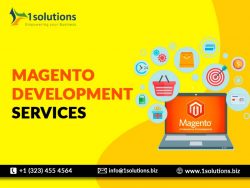 Magento Development Services