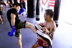 Muay Thai Training