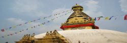 The Best Nepal Tour Packages Offered by Trinetra Tours