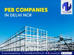 Peb Companies in Delhi NCR