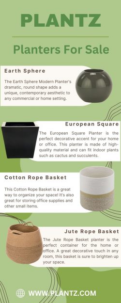 Planters For Sale | Plantz