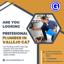 Professional Services Plumber in Vallejo, CA – Gray Plumbing Inc