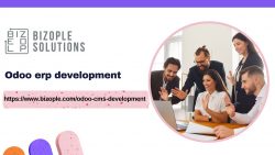 Odoo erp development