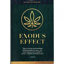 https://ghost4under.com/exodus-effect-reviews/