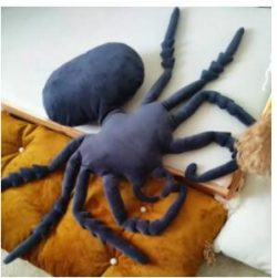 spider pillow