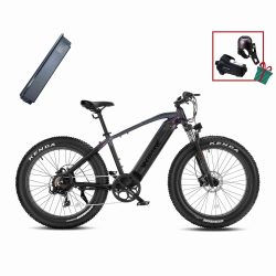 Velowave e-bike | RANGER FAT TIRE EBIKE