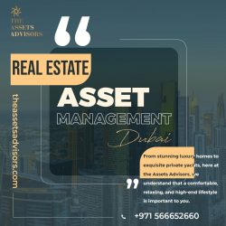 Are you seeking the top real estate asset management Dubai services? Obtain advice from The Asse ...