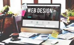 Best Website Designer For Your School | MSO