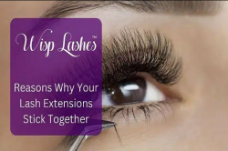 Reasons Why Your Lash Extensions Stick Together – Wisp Lashes