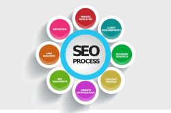 Top Seo Companies in Mohali