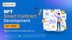 Smart Contract Development Service