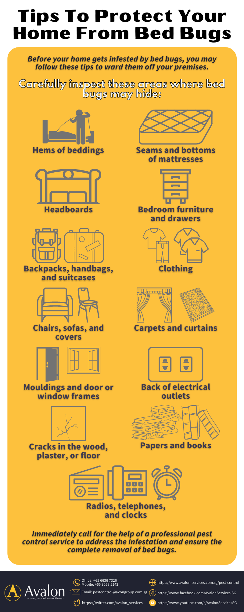 Tips To Protect Your Home From Bed Bugs