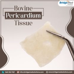 Tissue Patch for Heart Valve