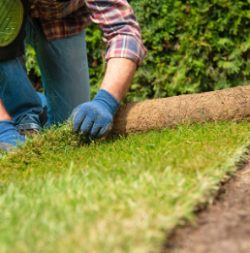 Turfing & Artificial Grass Installation