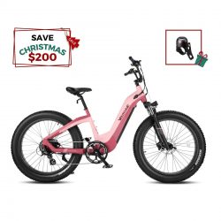 Velowave EBIKE | GRACE Christmas Sale