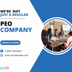 We’re Not Just A Regular PEO Company