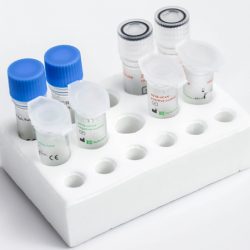 Detection Kit for 2019-nCoV (PCR-Fluorescence)