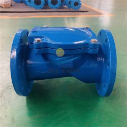 GGG50 Ductile Iron Rubber Flap Flange Check valve