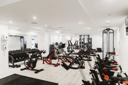 The Best Gyms Near In Florida