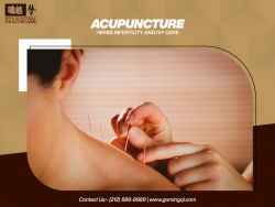 Acupuncture Herbs Infertility and IVF Care image