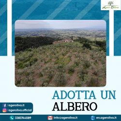 Adotta un albero