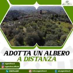 Adotta Un Albero a Distanza