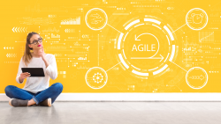 Agile Online Training in India