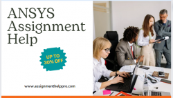 Get Plagiarism-Free ANSYS Assignment Help Services in USA